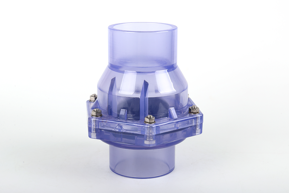 岳口镇透明翻板式止回阀